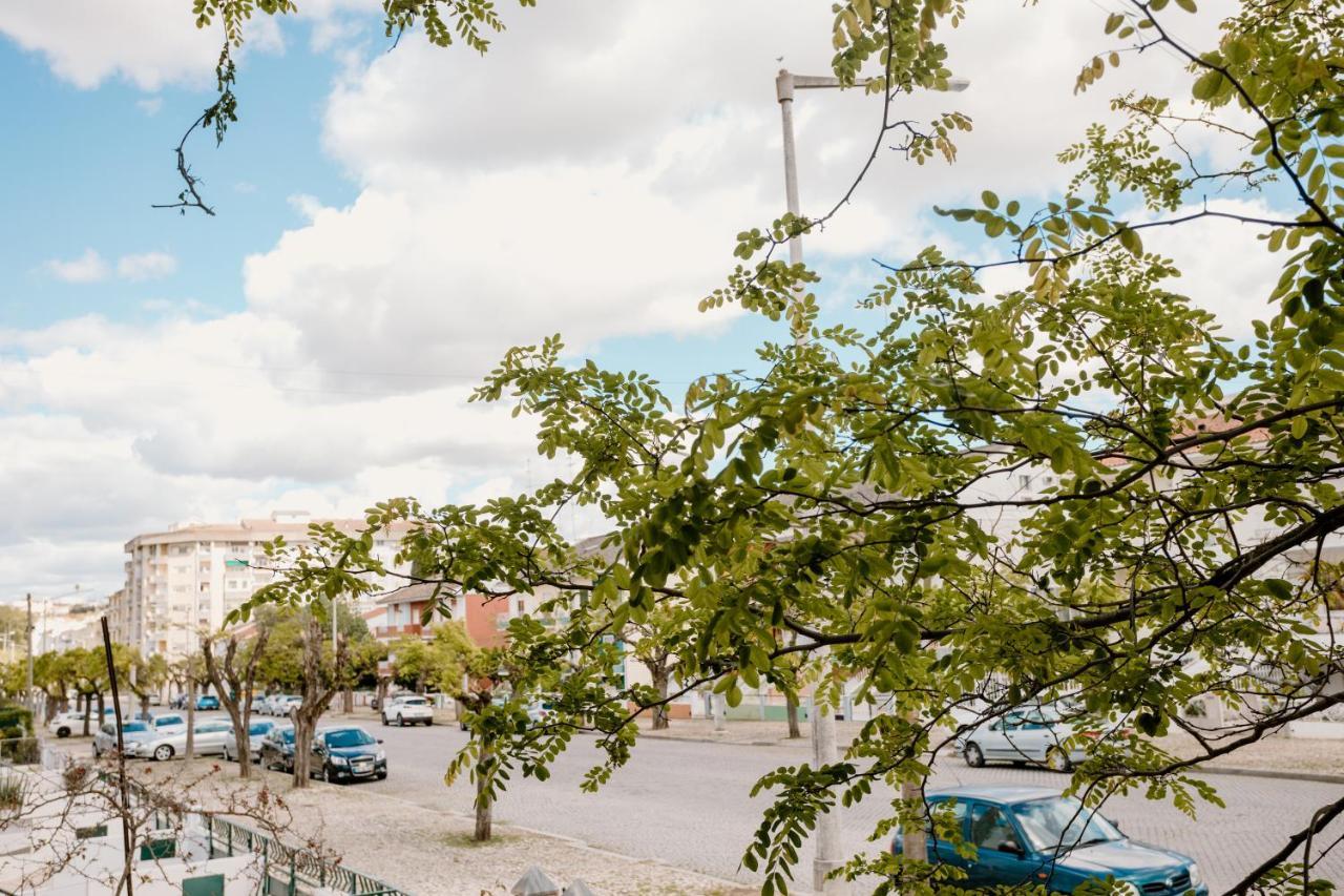 Avenida Villa Elvas Exteriör bild